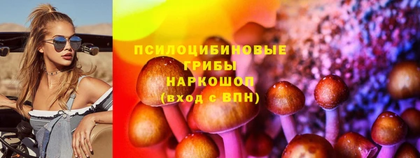 молекула духа Алексин
